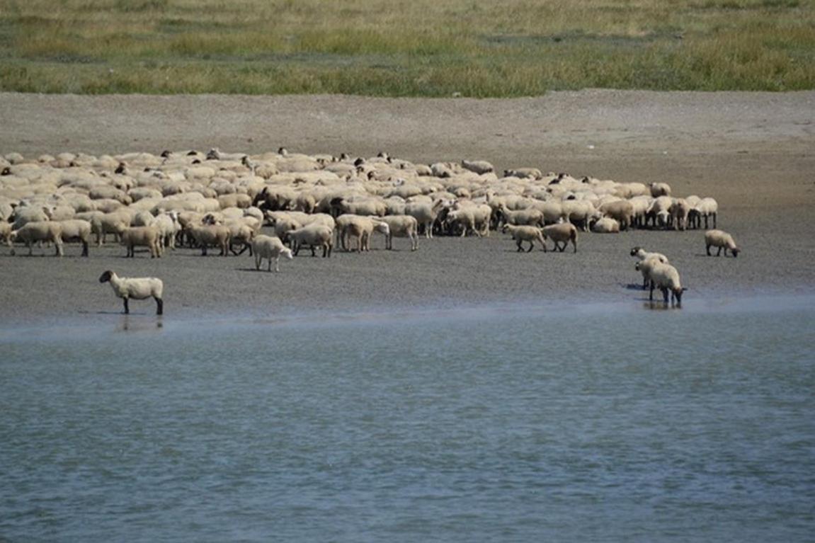 Le Bois Flotte Apartman Le Crotoy Kültér fotó